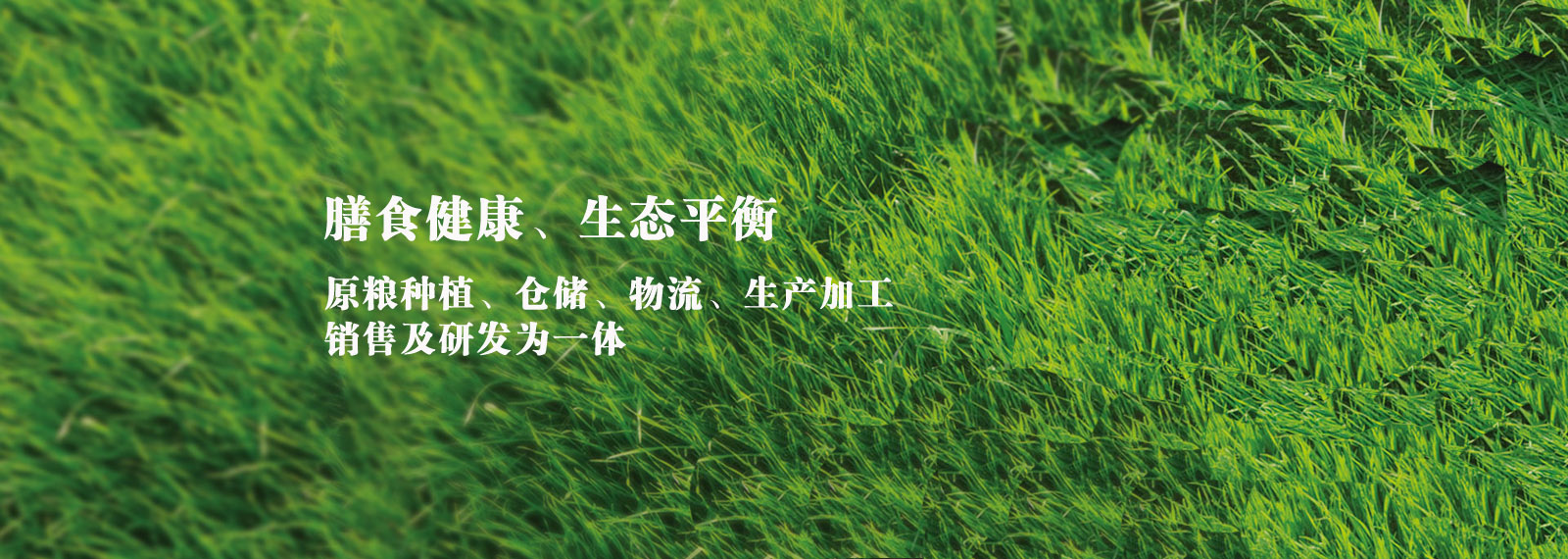 url(http://www.whaodai.com/style/banner1.jpg)